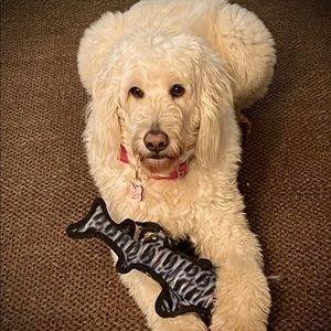 Meet your Posher, Aubrie